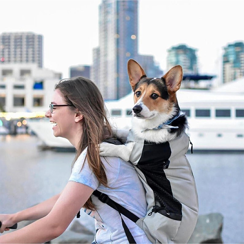 Pet Stroller Carrier - Mocny Nylon plecak na psa dla
