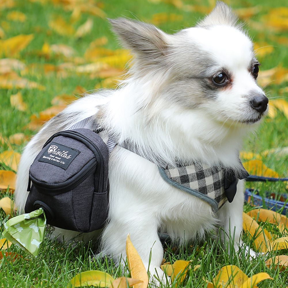 Przenośna torba na przysmaki d – Pet Stroller Carrier recenzja i cena
