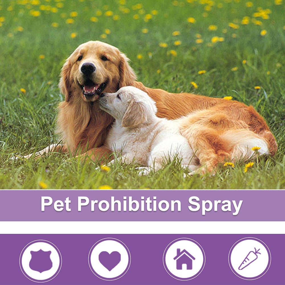 Spray Uspokajający dla Zwierzą – Pet Supplies App recenzja i cena