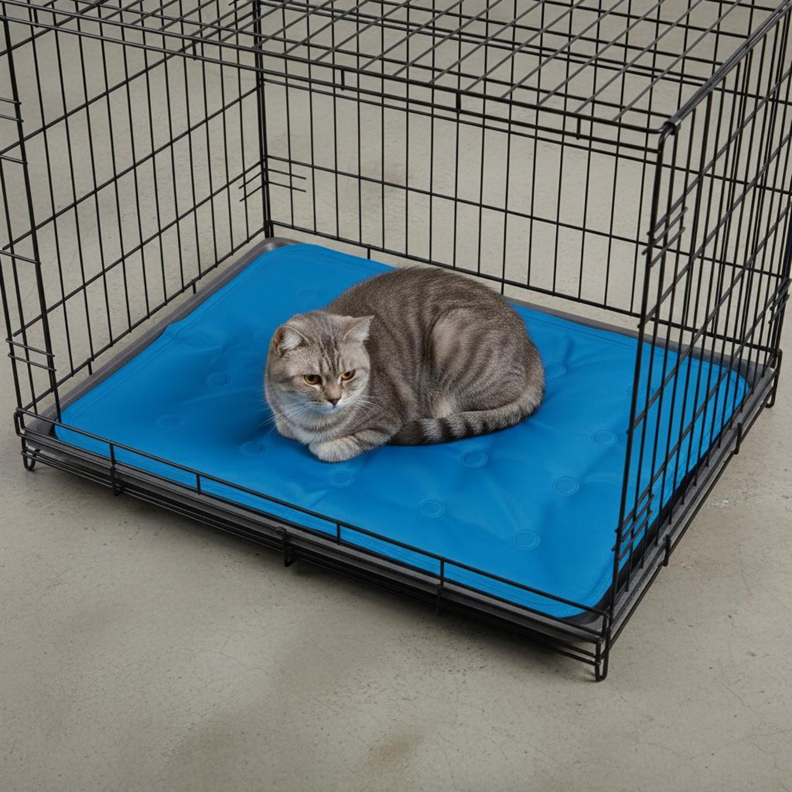 Mata chłodząca dla zwierząt z  – Dog Cooling Mat recenzja i cena