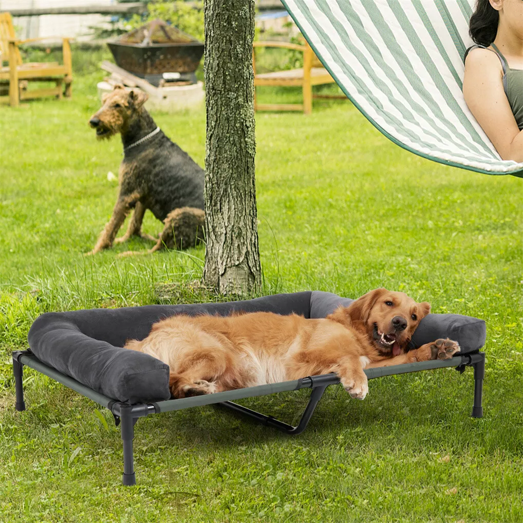 BINGOPAW Podwyższone legowisko – Dog Cooling Mat recenzja i cena