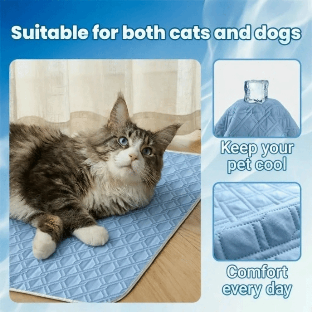 Nowa letnia mata chłodząca dla – Dog Cooling Mat recenzja i cena