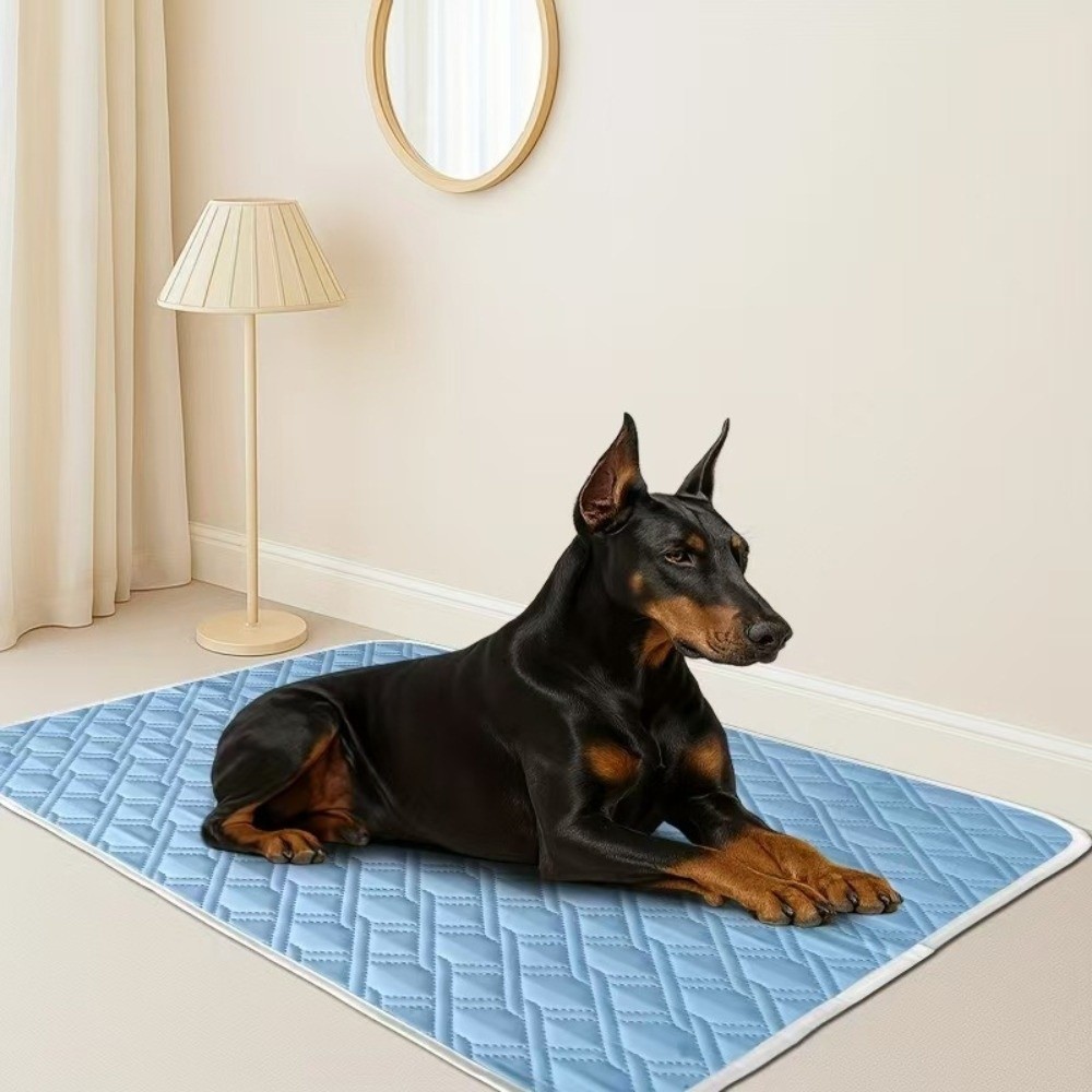 Nowa letnia mata chłodząca dla – Dog Cooling Mat recenzja i cena