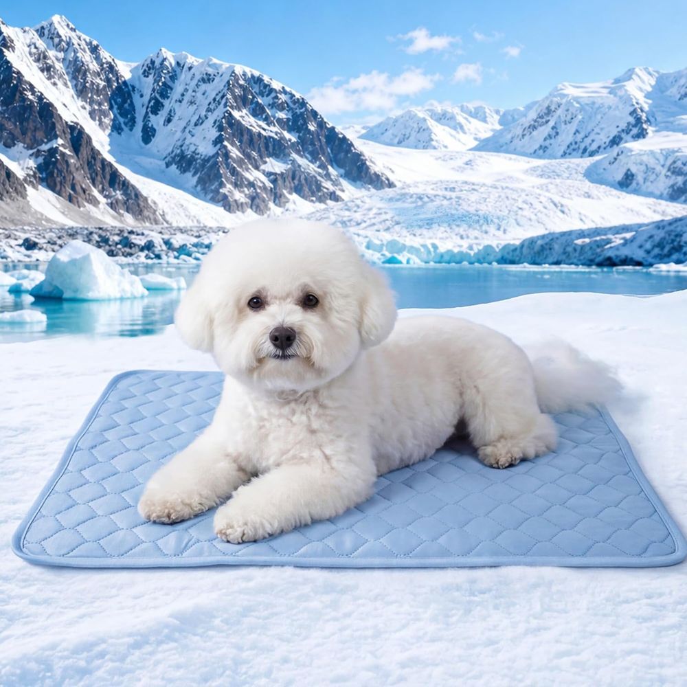 Chłodząca Mata dla Małych Psów – Dog Cooling Mat recenzja i cena