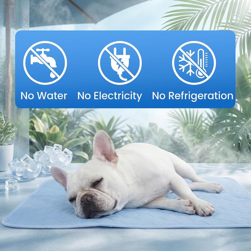 Chłodząca Mata dla Małych Psów – Dog Cooling Mat recenzja i cena