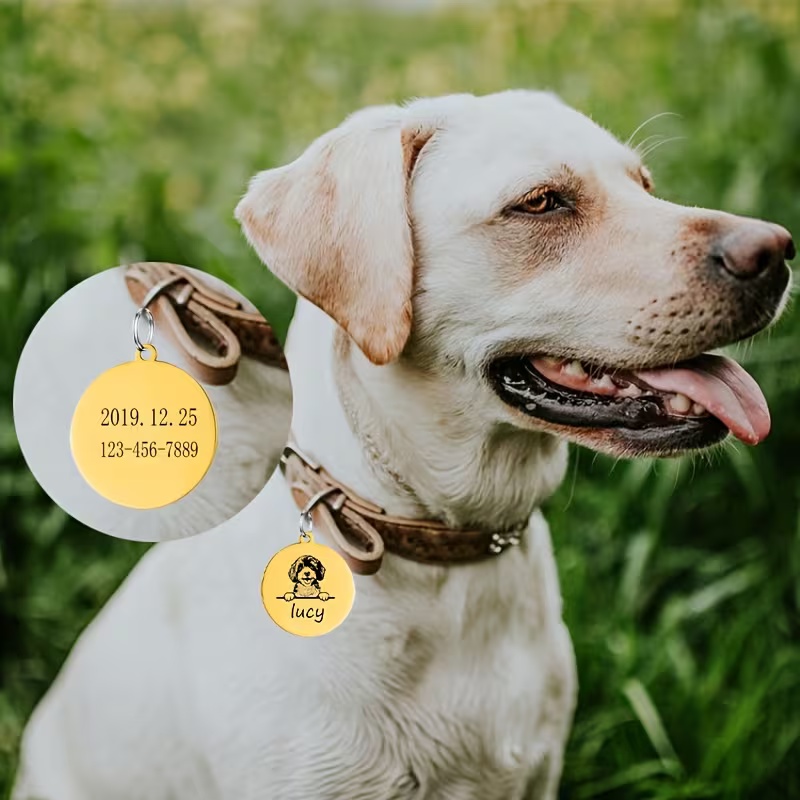 Personalizowane obroże dla szc – Pet Supplies Discount recenzja i cena
