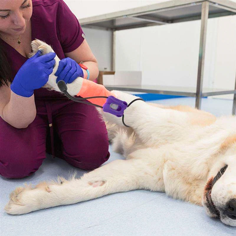 2026 Plastikowy staz taktyczny – Pet Supplies App recenzja i cena