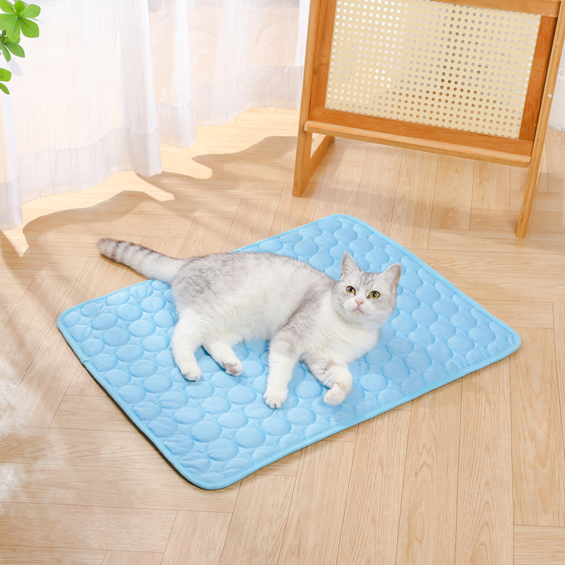 Letnia chłodząca mata dla zwie – Dog Cooling Mat recenzja i cena