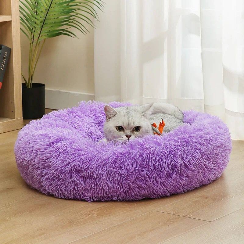 Puszysta, nowoczesna legowisko – Pet Supplies In Australia recenzja i cena