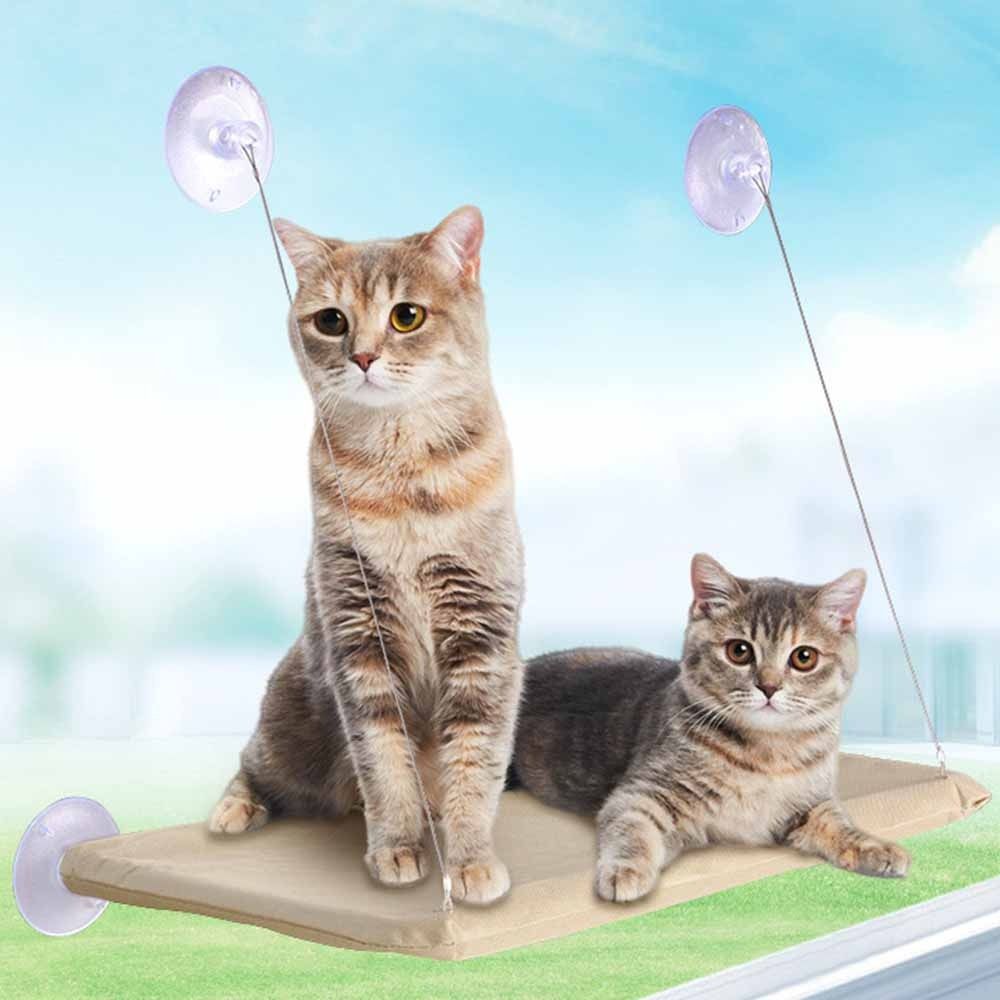 Kreatywne legowisko dla kota,  – Pet Supplies Delivery recenzja i cena